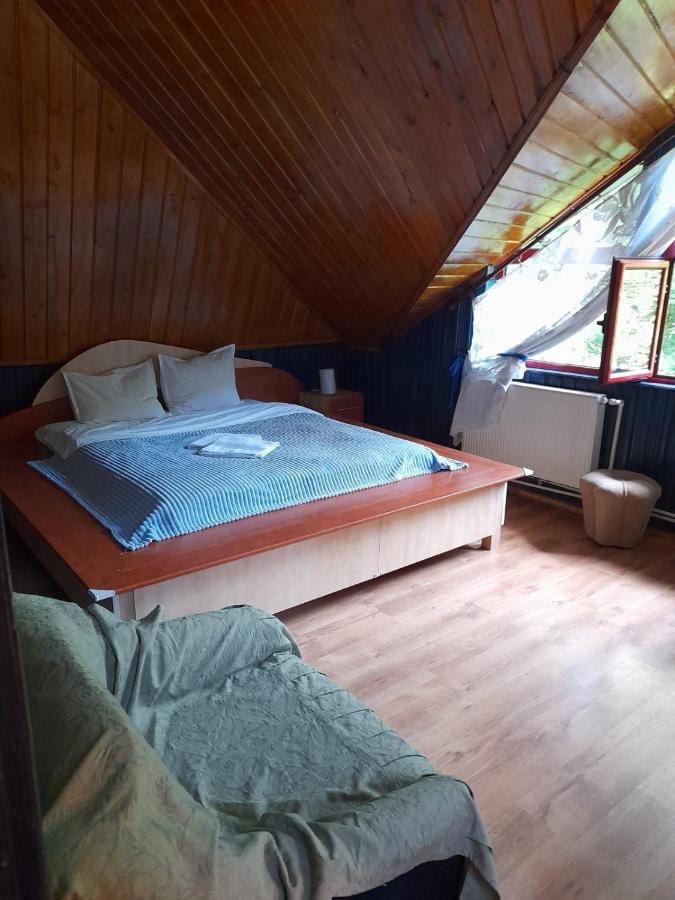 Barlogul Ursilor Lepsa Hotell Exteriör bild