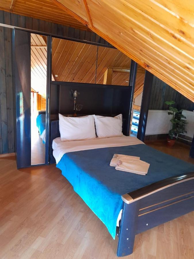 Barlogul Ursilor Lepsa Hotell Exteriör bild