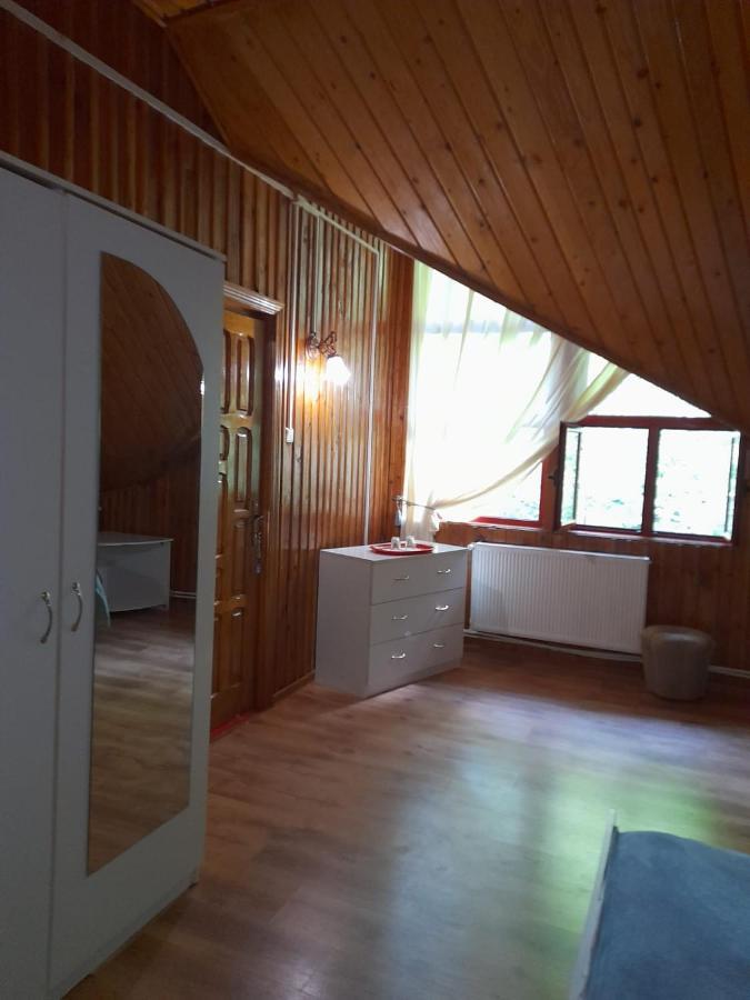 Barlogul Ursilor Lepsa Hotell Exteriör bild
