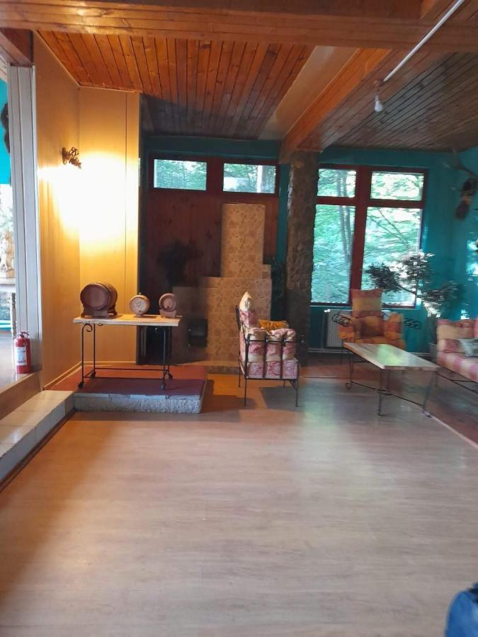Barlogul Ursilor Lepsa Hotell Exteriör bild